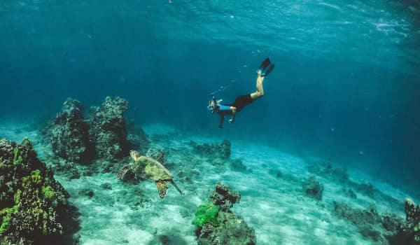 snorkeling in key west